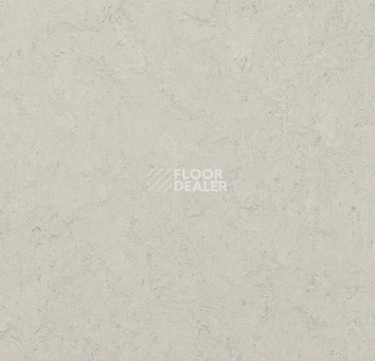 Линолеум Forbo Marmoleum Decibel on Order 386035 silver shadow фото 1 | FLOORDEALER